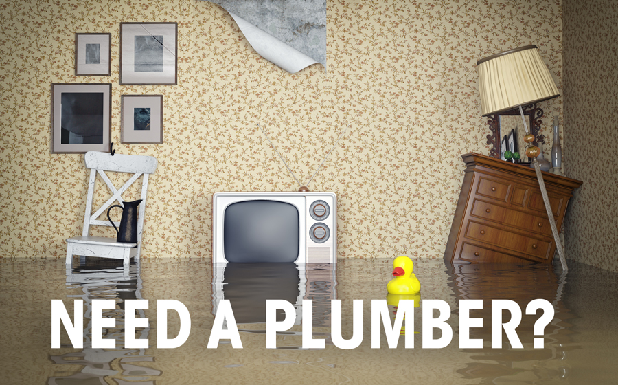 Need-a-plumber
